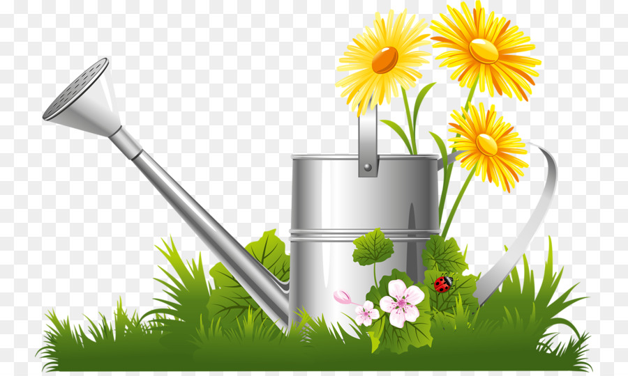 Arrosoir Et Fleurs，Plantes PNG