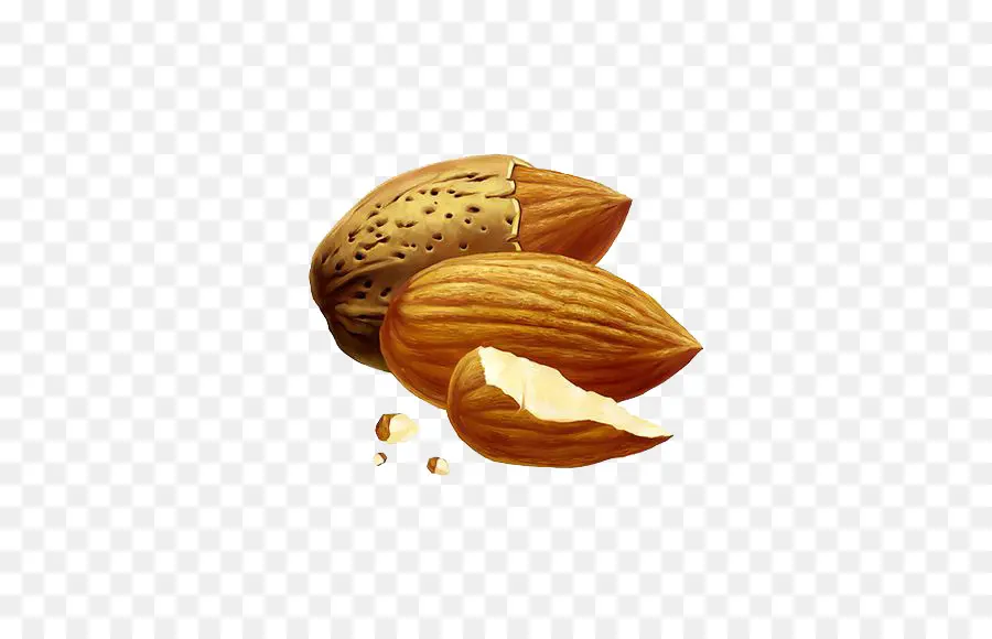 Amandes，Noix PNG