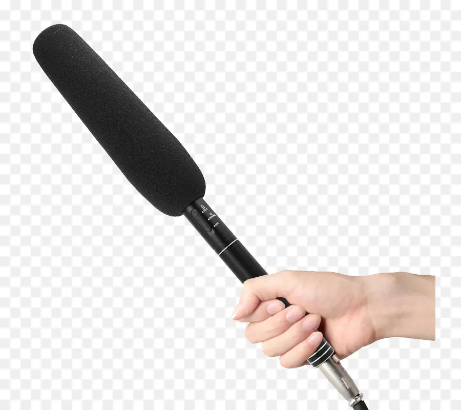 Microphone à Main，Audio PNG