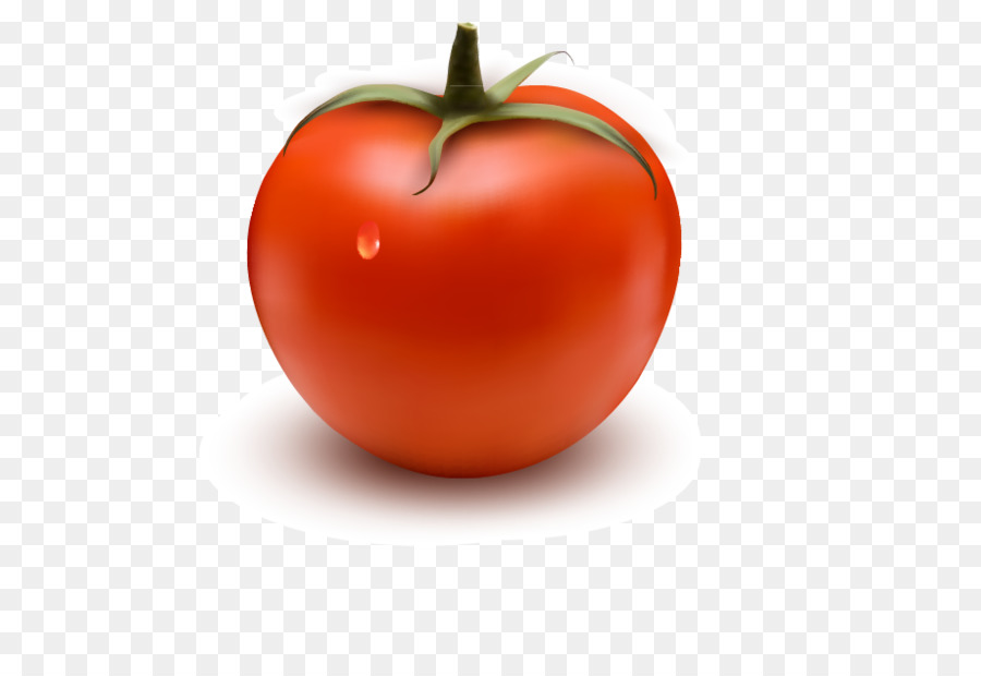 Tomate，Hamburger PNG