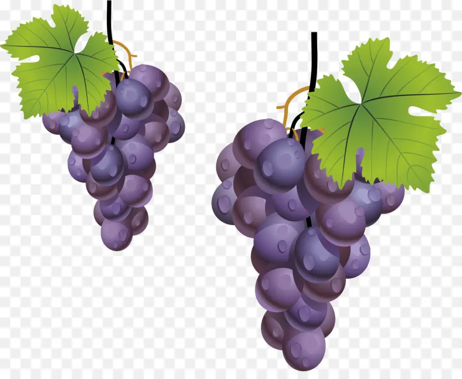 Raisins，Bouquet PNG