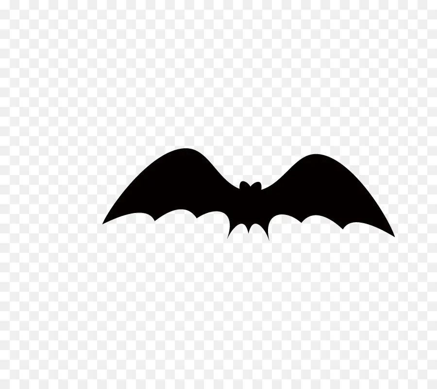 Silhouette De Chauve Souris，Vol PNG