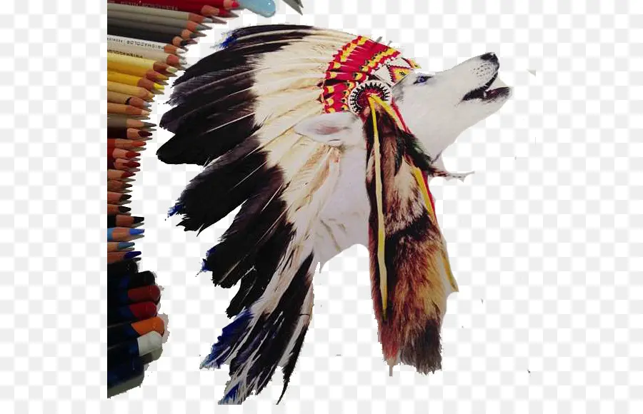 Loup Avec Coiffe，Plumes PNG