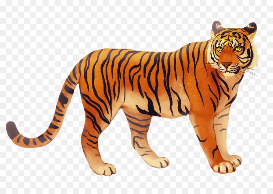 Le Tigre De Bali，Javan Tigre PNG
