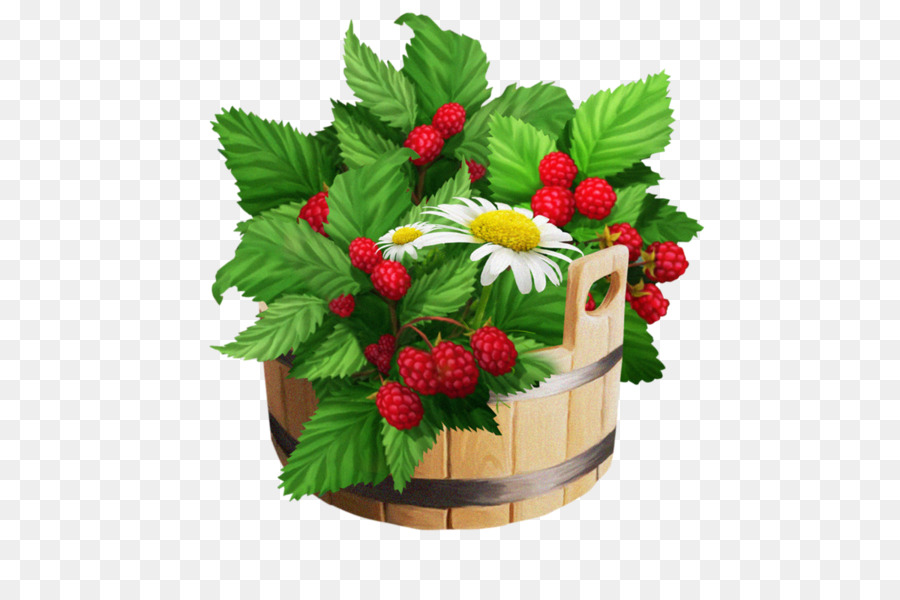 Berry，Framboise PNG