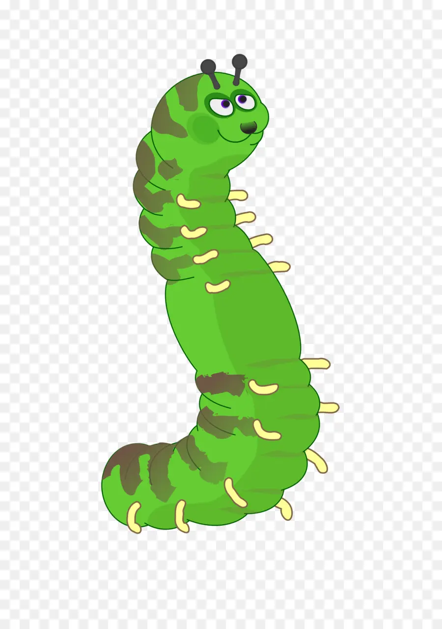 Chenille，Insecte PNG