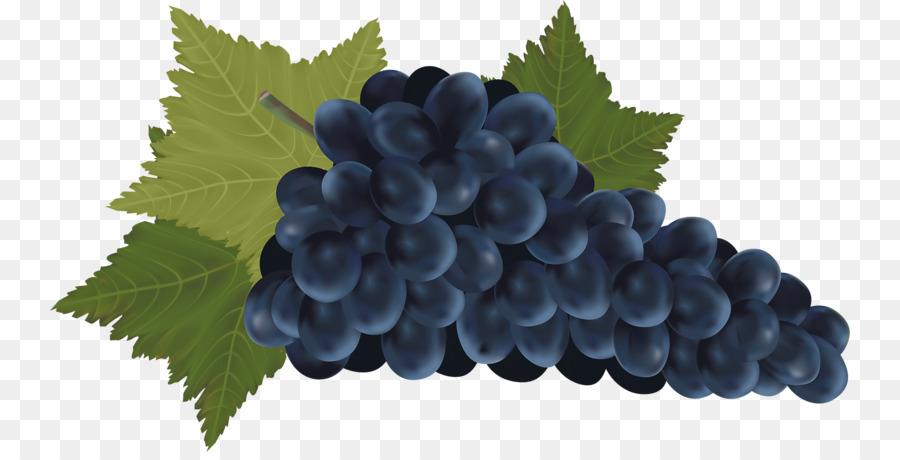 Vin Rouge，Vin PNG