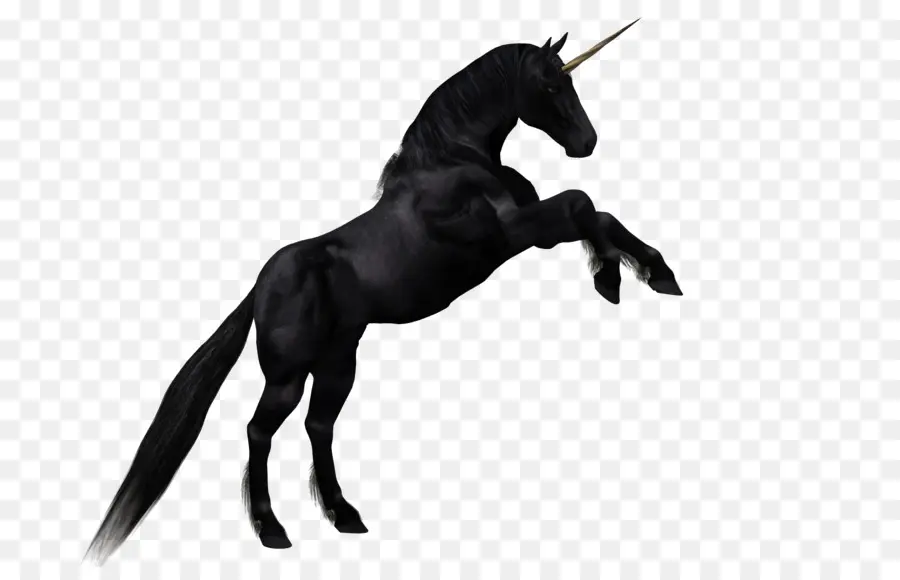 Cheval，Licorne PNG