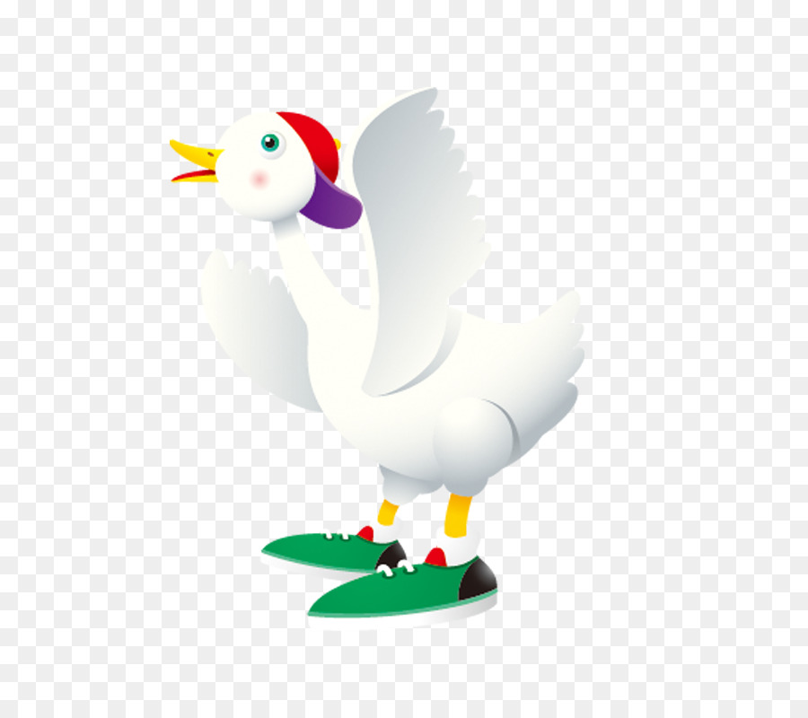 Canard Avec Des Chaussures，Oiseau PNG