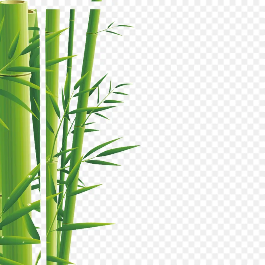 Bambou Vert，Feuilles PNG