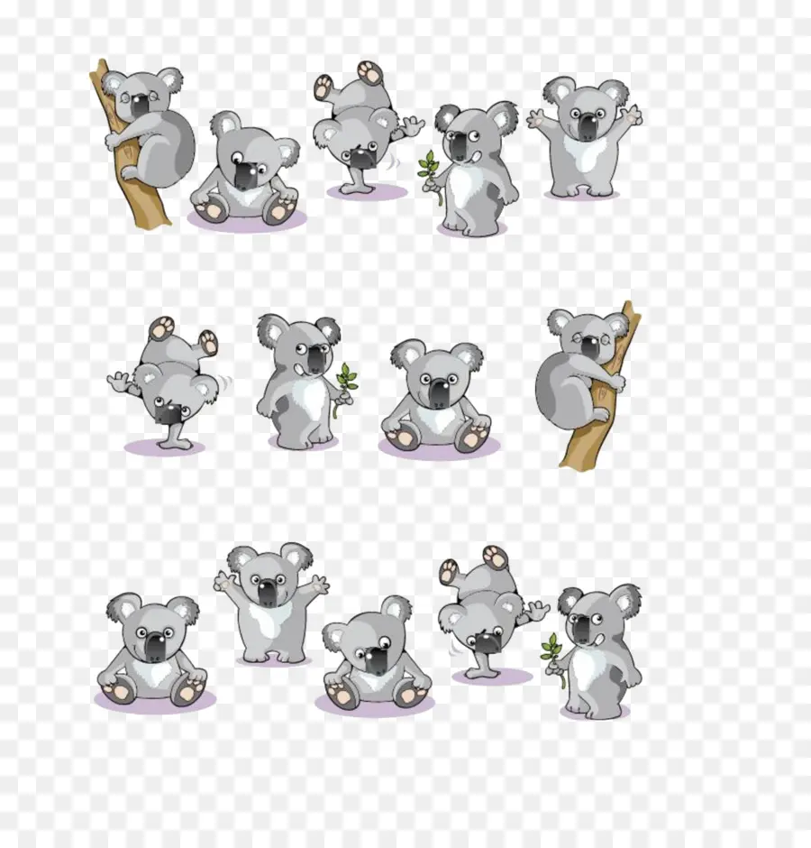 Koalas，Mignon PNG