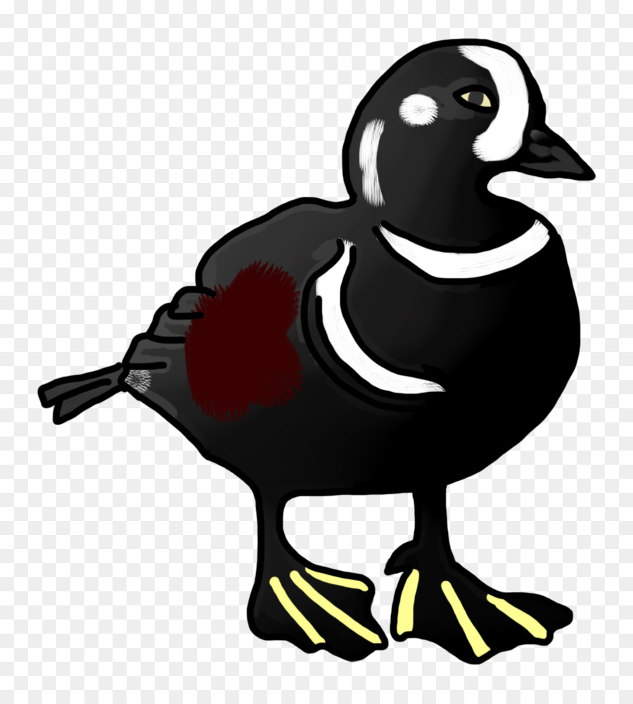 Canard，Oie PNG