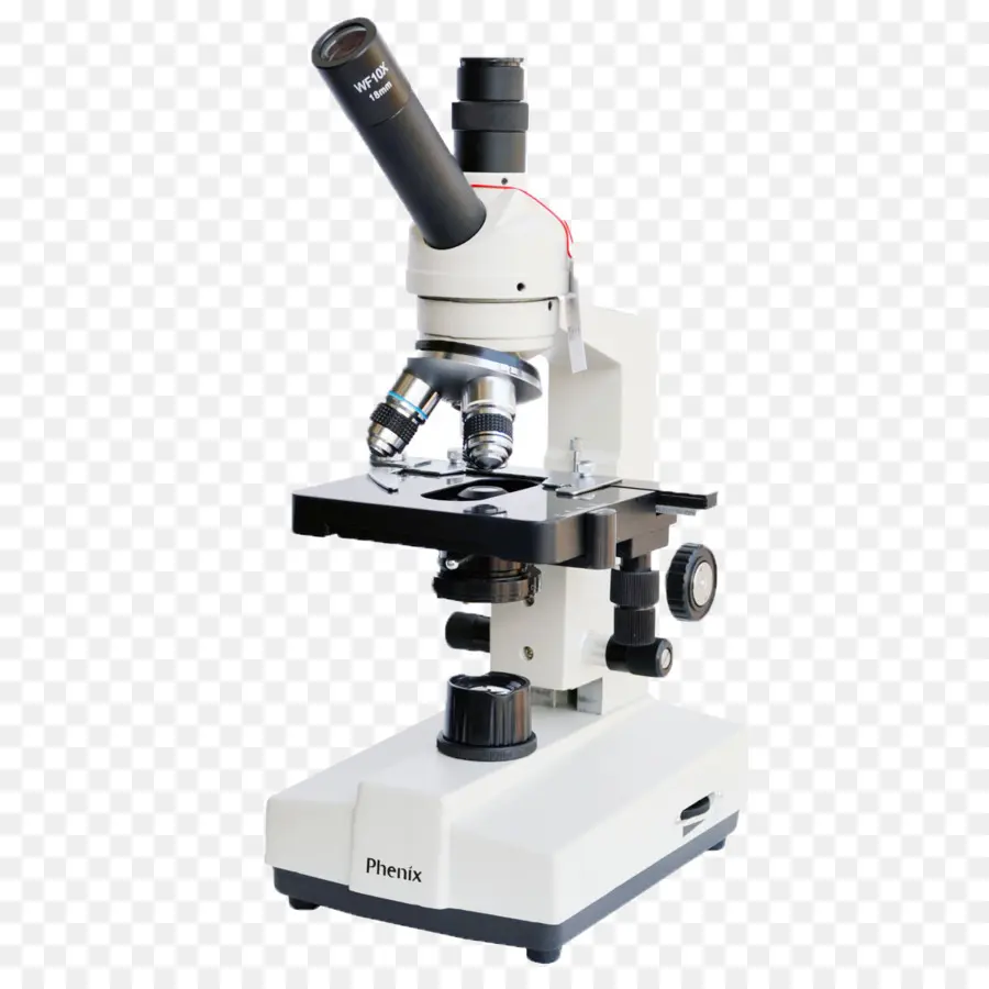 Microscope，Laboratoire PNG