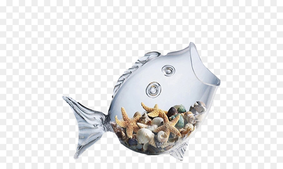 Poisson En Verre，Coquillages PNG