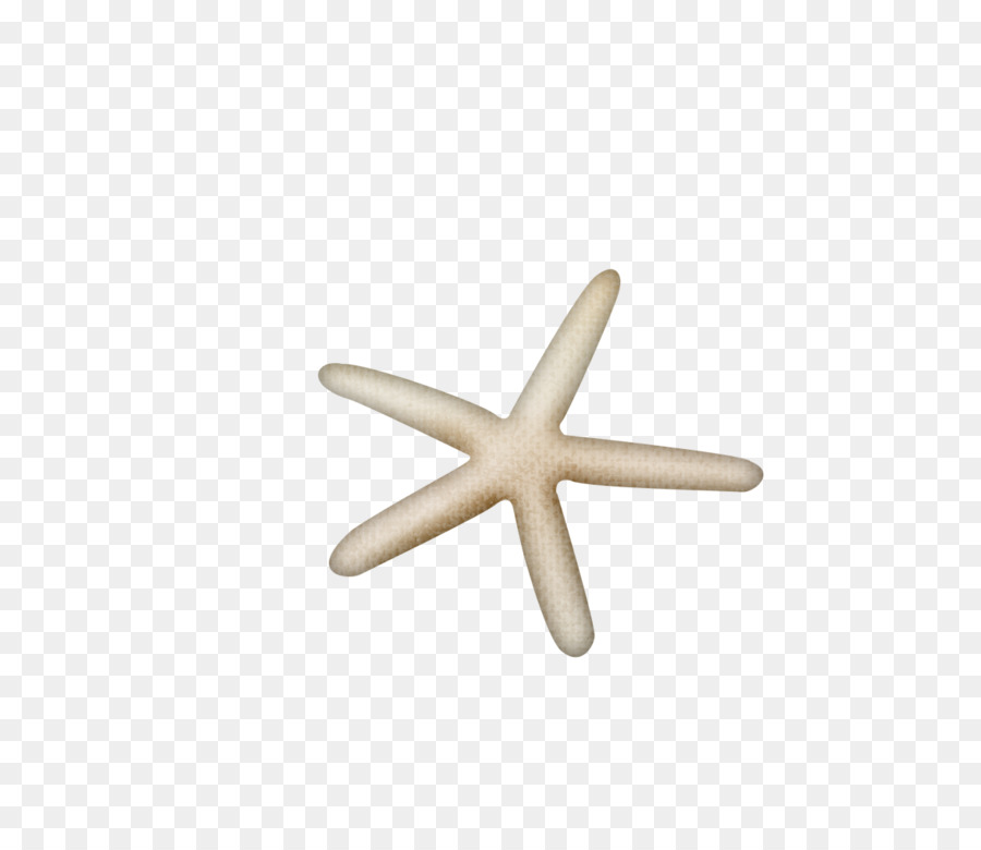 Étoile De Mer Beige，Étoile De Mer PNG