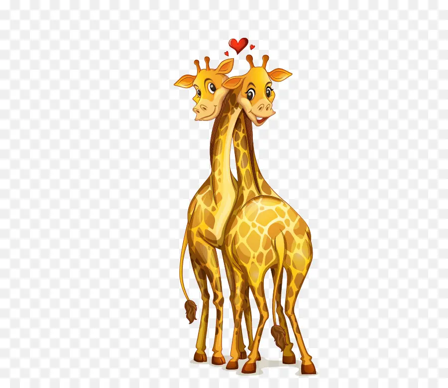 Girafes，Amour PNG