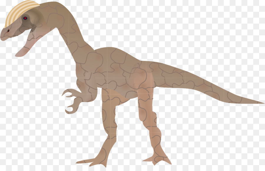 Dinosaure，Puzzle PNG