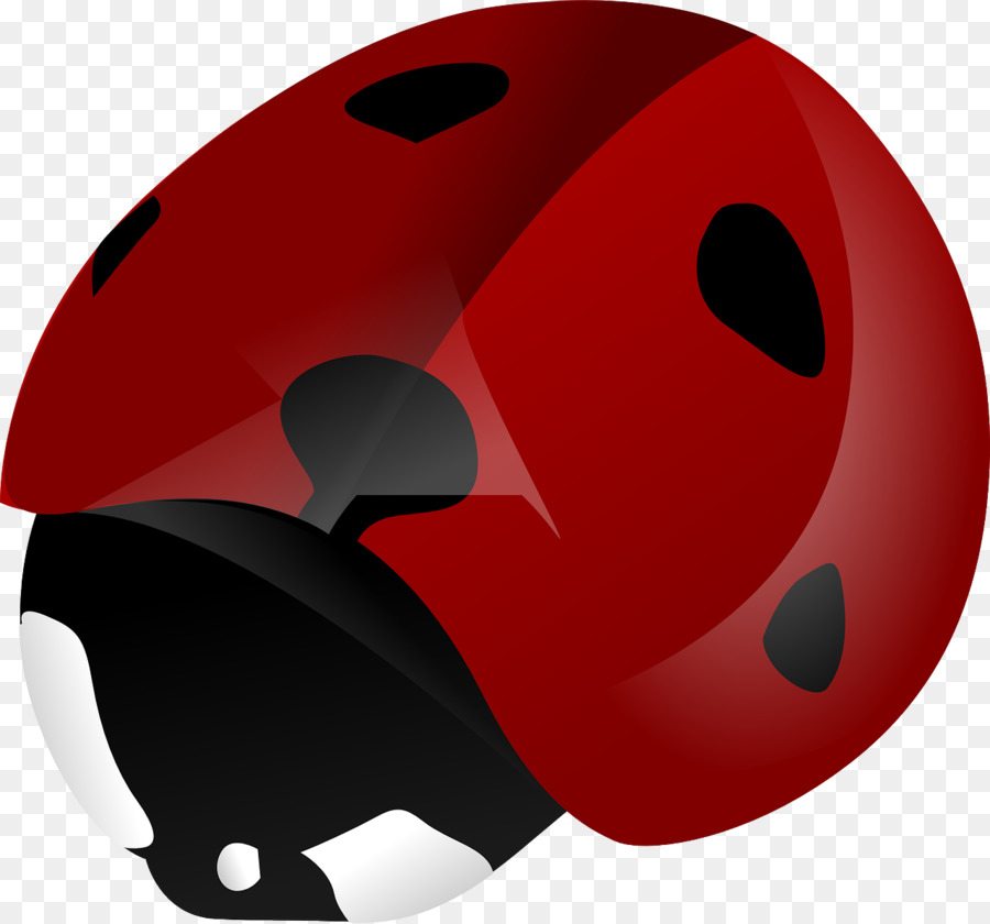 Scarabée，Coccinelle PNG