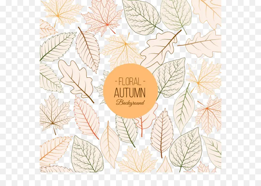 Feuilles D'automne，Floral PNG