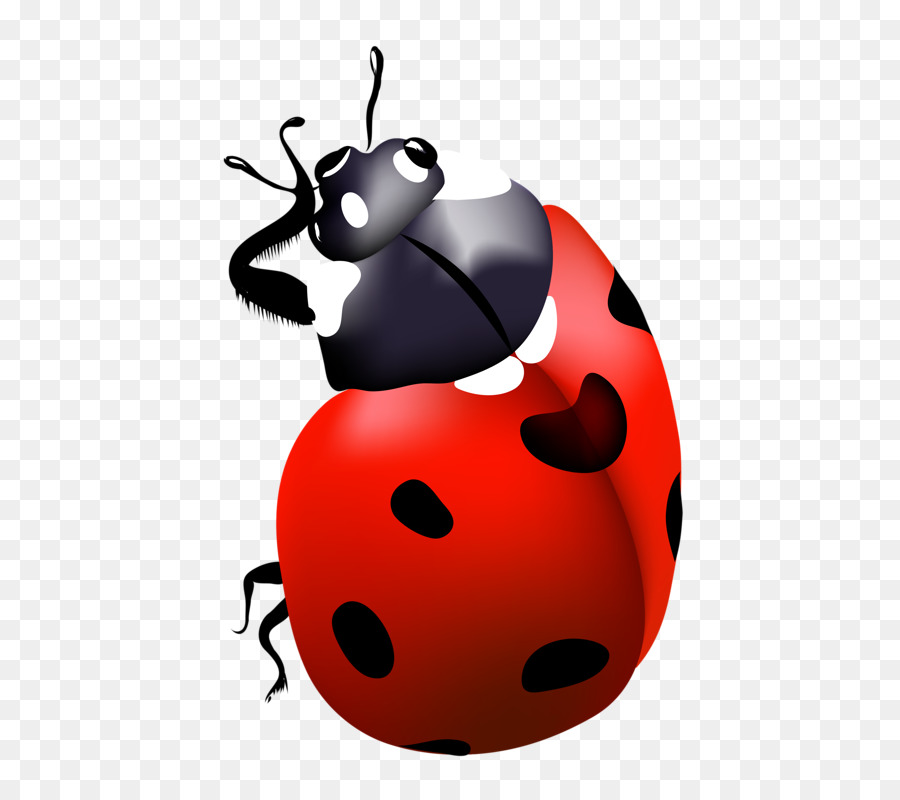Rouge，Lady Bird PNG
