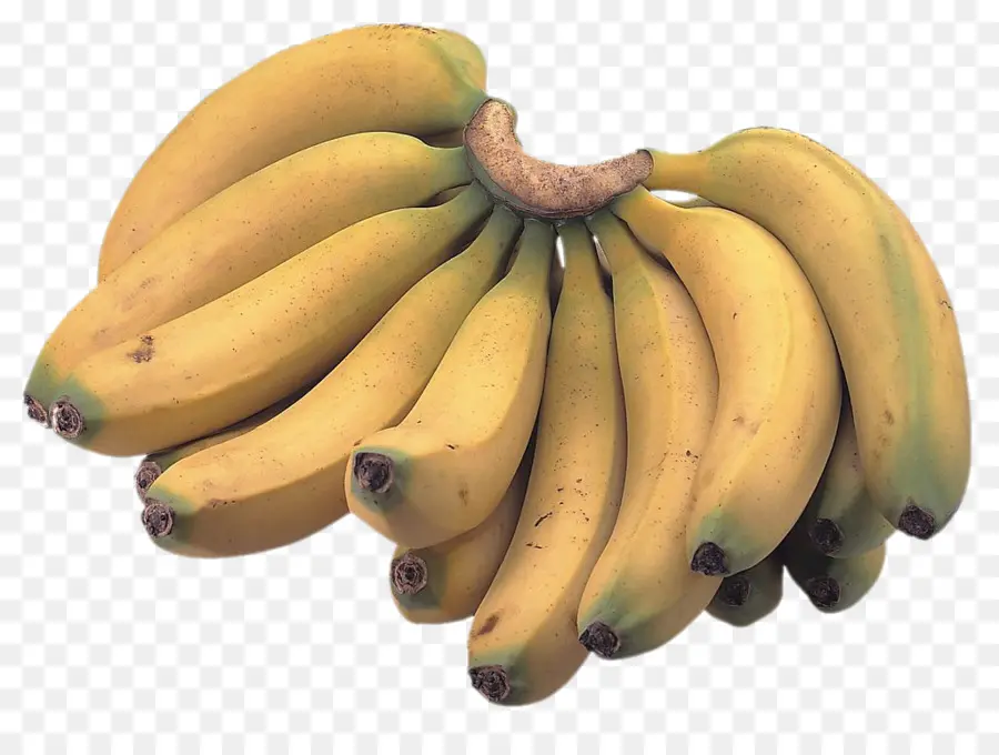 Saba Banana，Musa Basjoo PNG