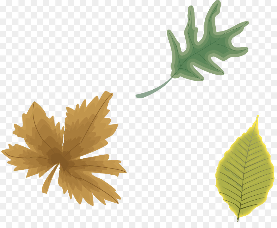 Feuilles D'automne，Feuillage PNG