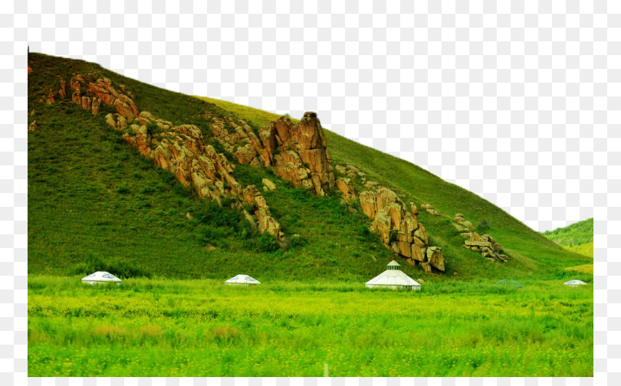 Yourtes，Colline Verte PNG