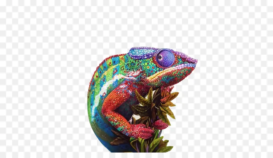 Caméléon，Coloré PNG