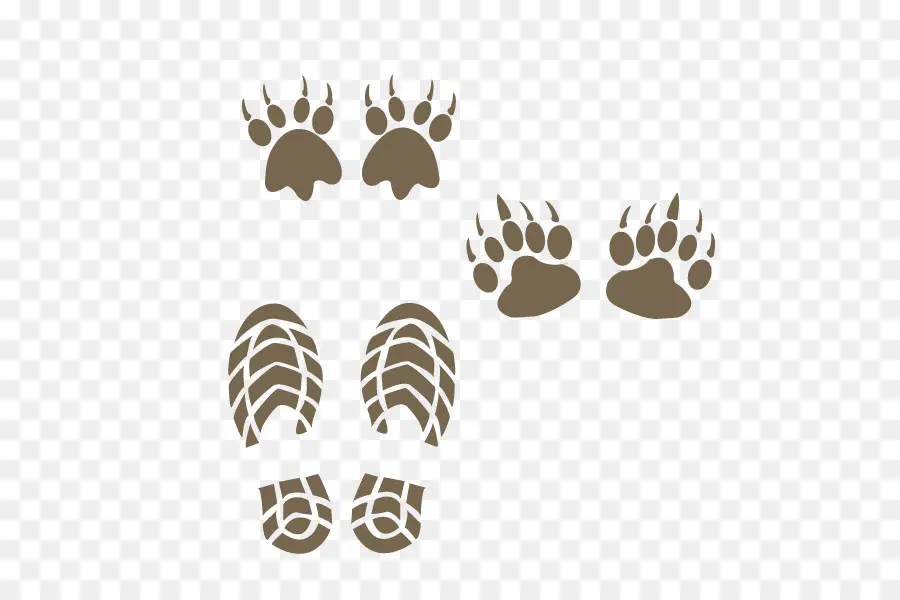 Empreintes，Animal PNG