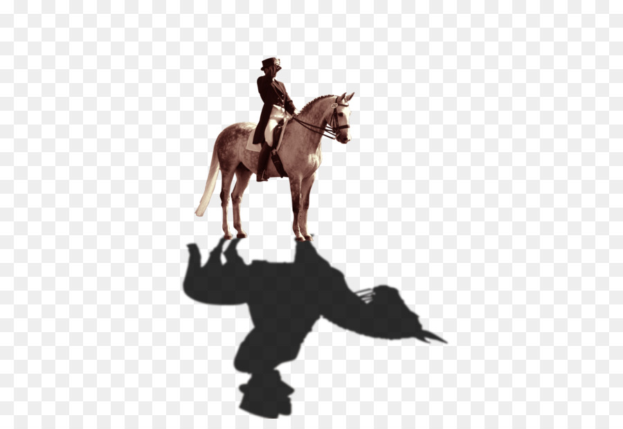 Cheval，Chevalier PNG