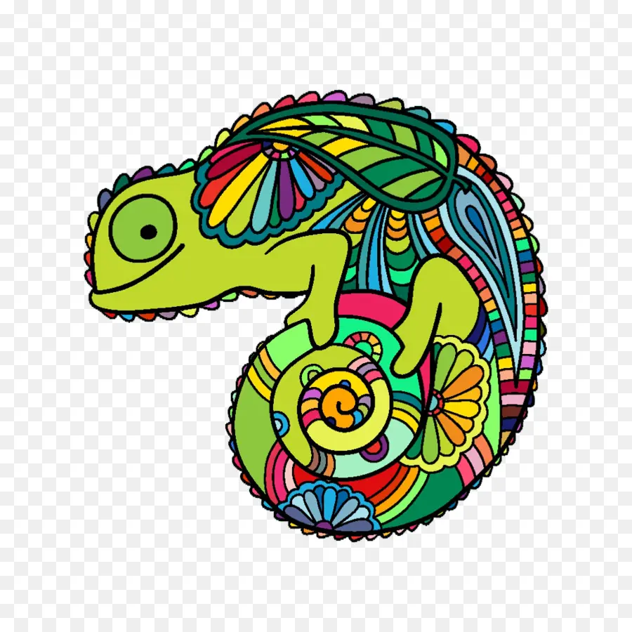 Caméléon Coloré，Reptile PNG