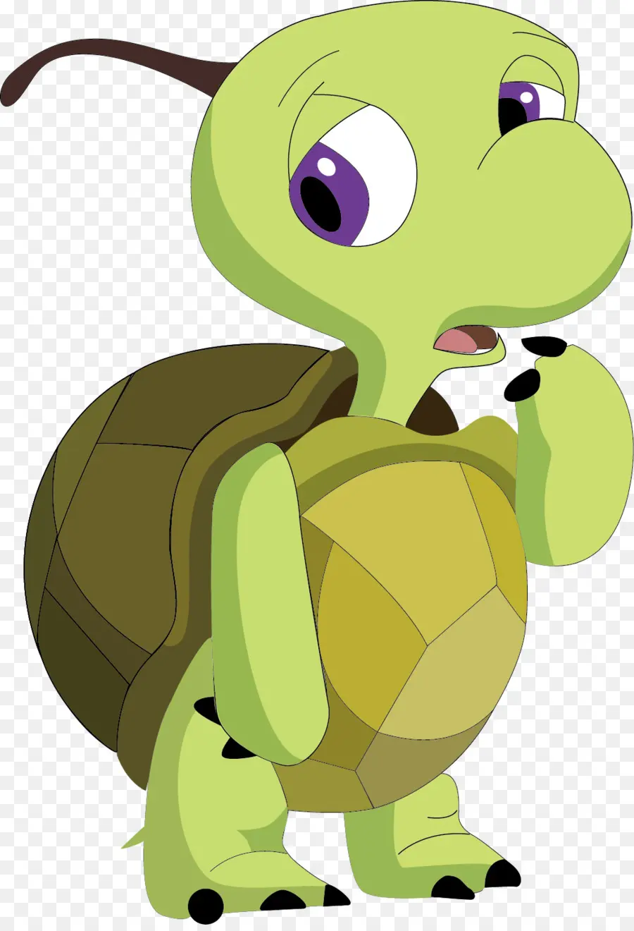 Tortue De Dessin Animé，Reptile PNG