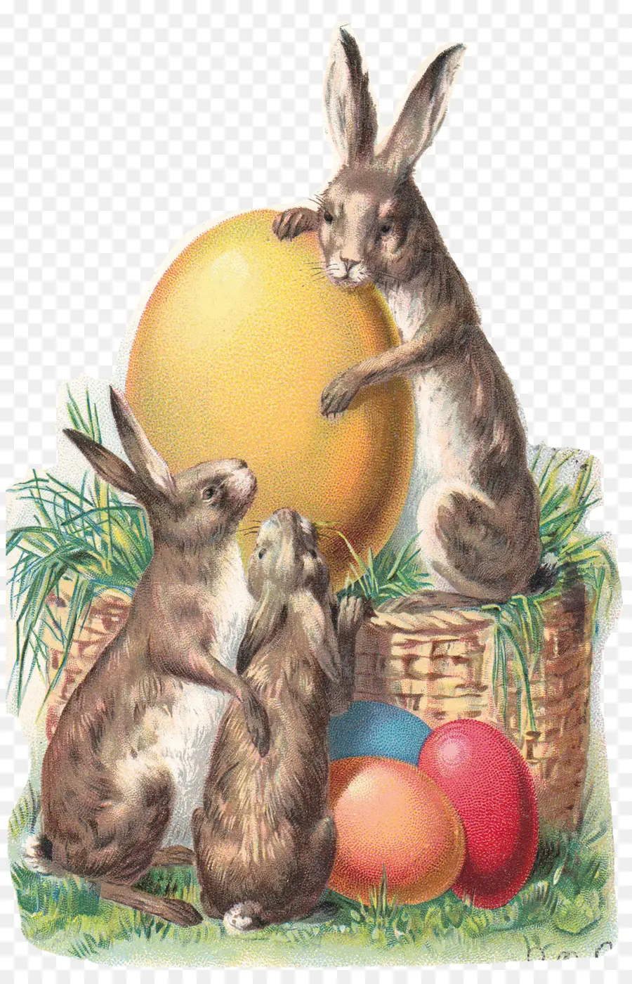 Lapins，Œufs PNG