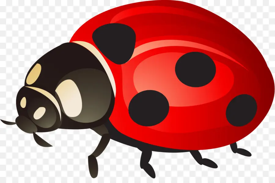 Coccinelle，Bogue PNG