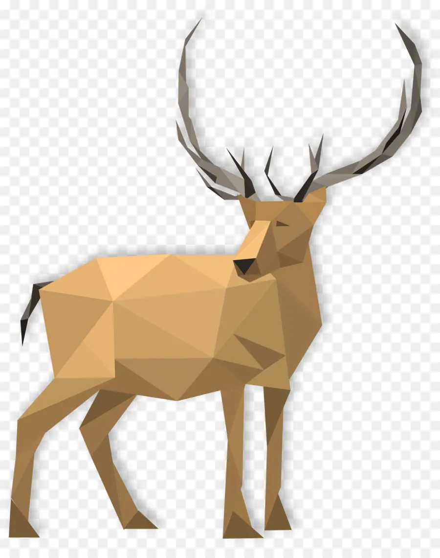 Cerf，Animal PNG