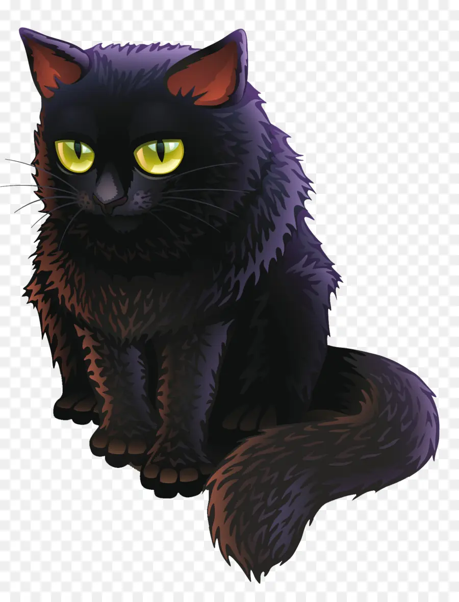 Chat Bombay，Chat Noir PNG