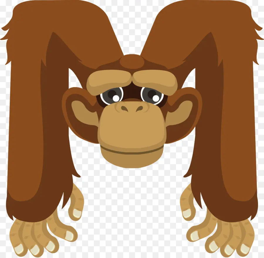 Singe，Animal PNG