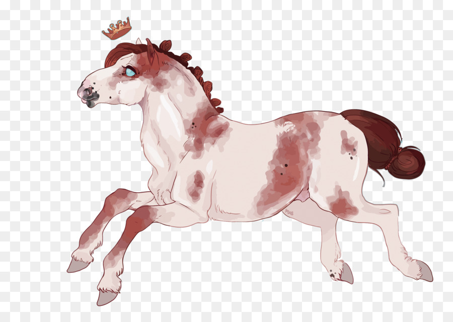 Mustang，Poney PNG