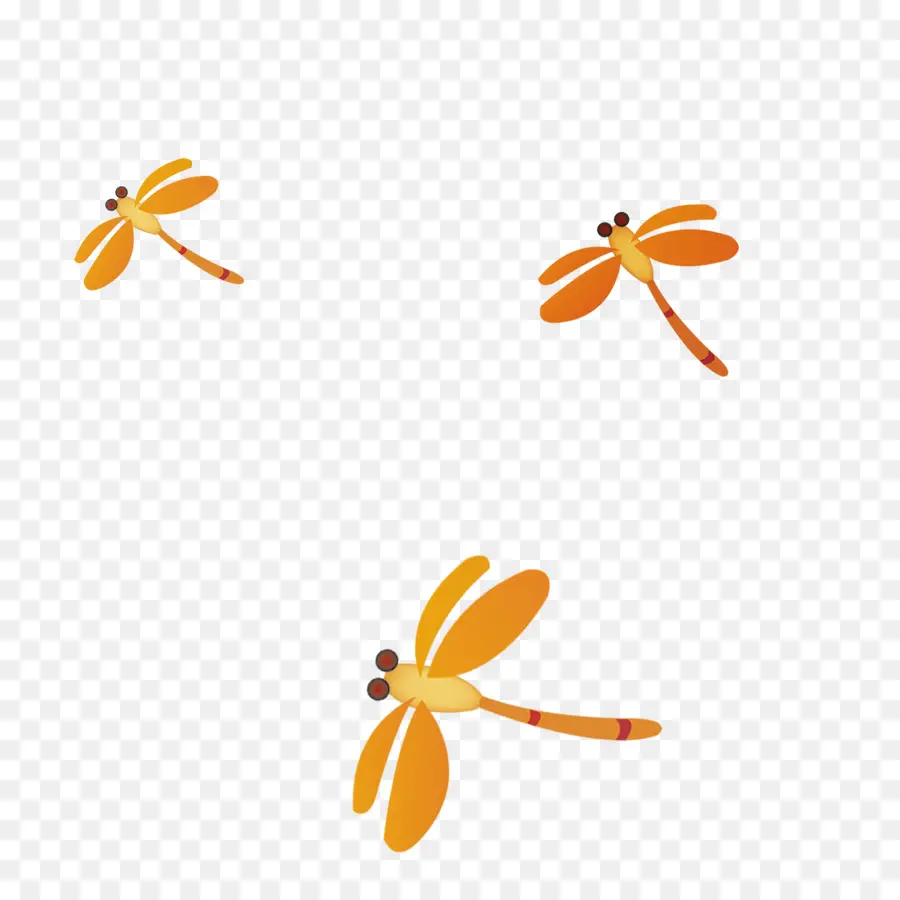 Libellules Oranges，Vol PNG