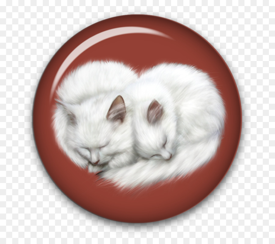 Chats Blancs，Dormir PNG