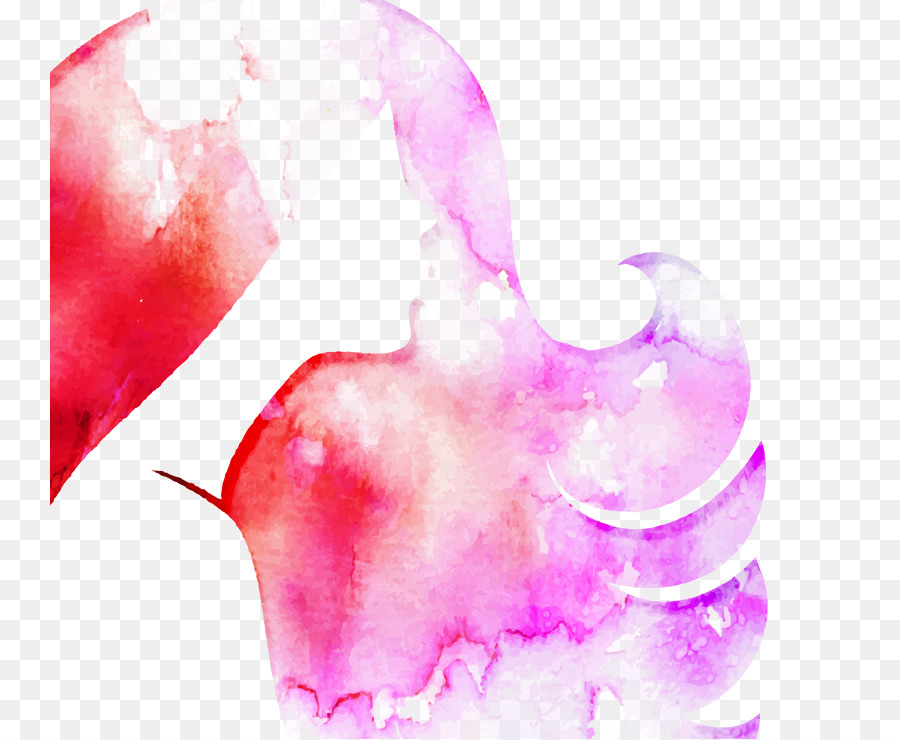 Silhouette Aquarelle，Rose PNG