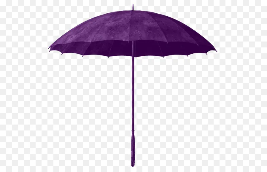 Parapluie，Violet PNG