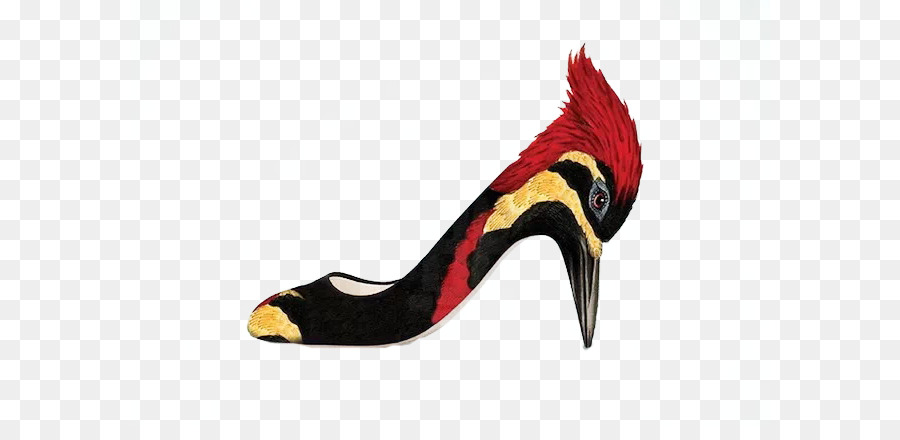 Chaussure，Oiseau PNG