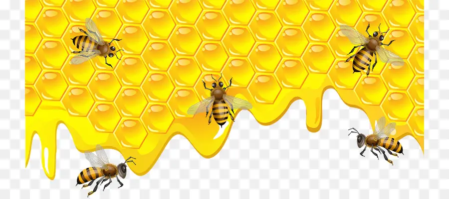 Nid D'abeille Et Abeilles，Chéri PNG