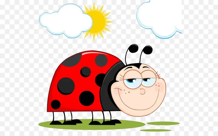 Coccinelle，Rouge PNG