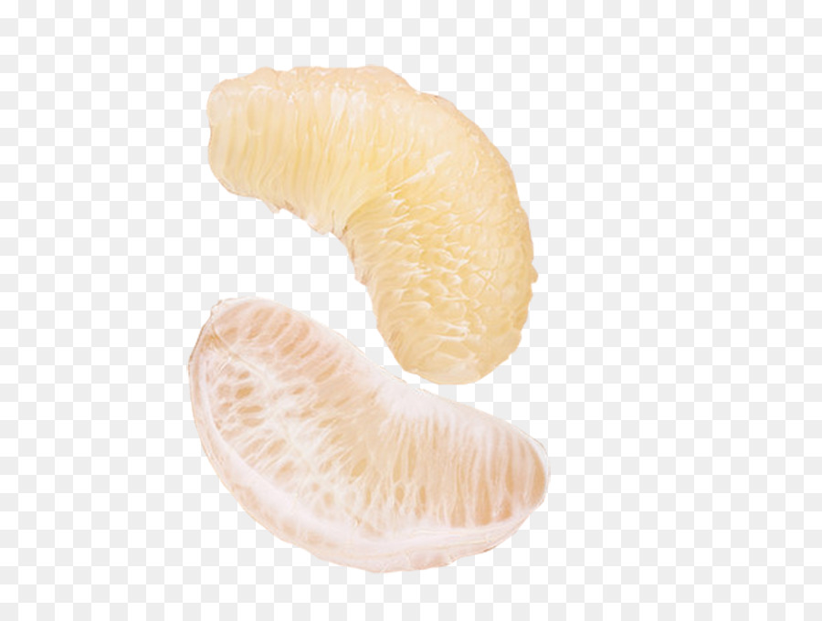 Segment Orange，Agrumes PNG