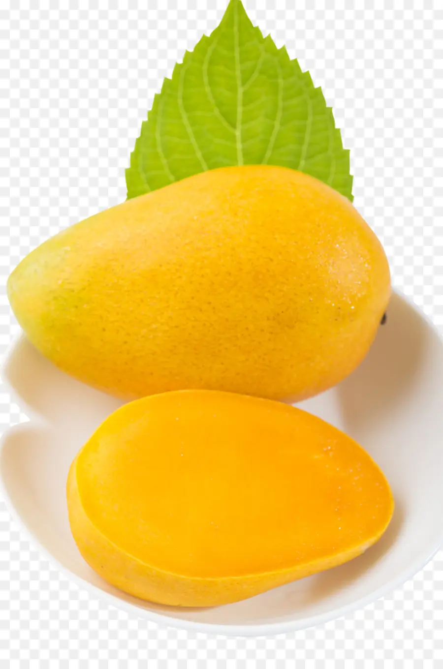 Mangue，Feuille PNG