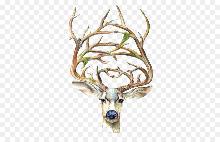 Tête De Cerf，Bois PNG