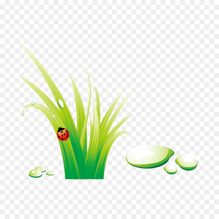 Herbe Avec Coccinelle，Insecte PNG