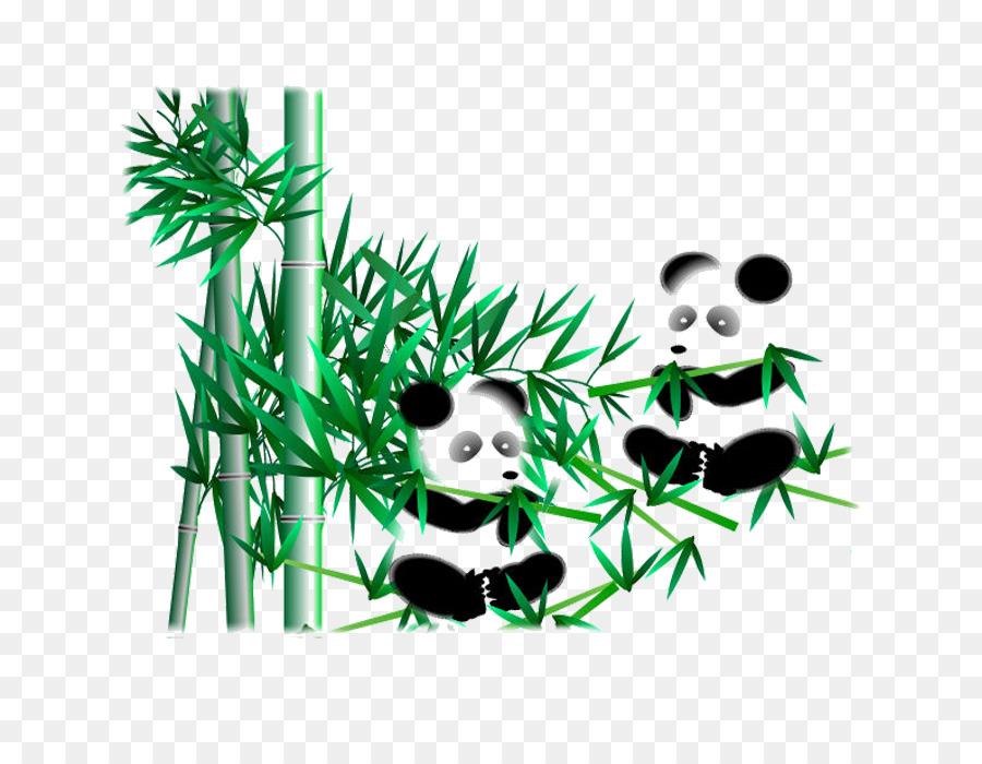 Pandas Et Bambous，Pandas PNG